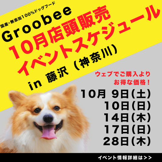 お得な店頭販売会!10月のスケジュールです🐶