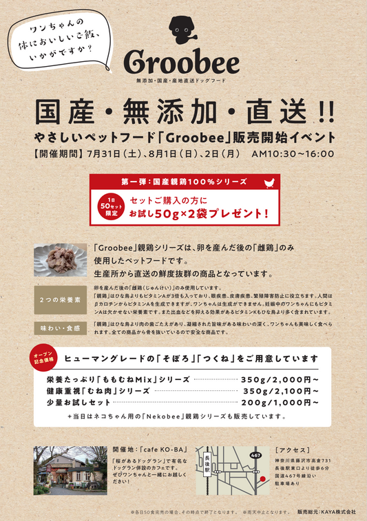 ※お得情報!Groobee 親鶏(じゅんけい)シリーズ販売開始イベント!!