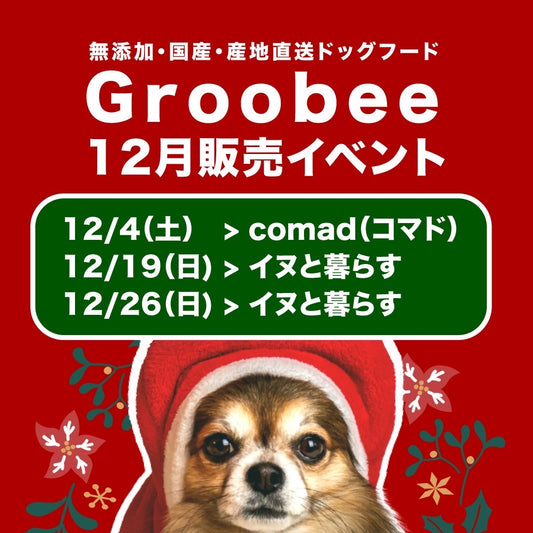 12月のイベントスケジュール ※イベントカレンダー作成しました!