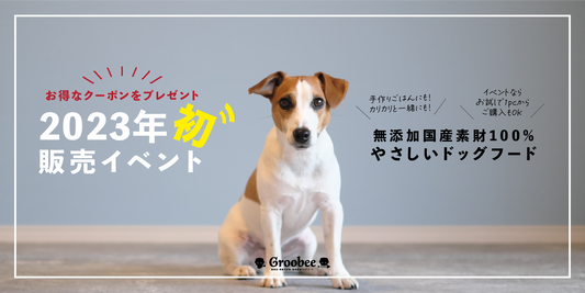 【イベント】1月29日販売イベント@イヌと暮らす