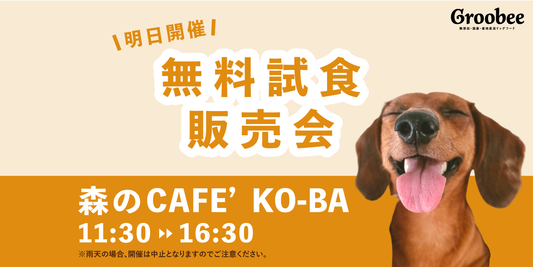\明日開催/森のCAFE' KO-BAさんでの試食販売会【数量限定お魚セットあり!】