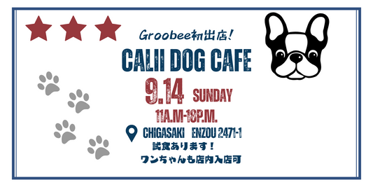 【室内イベント】茅ヶ崎で初試食販売会!