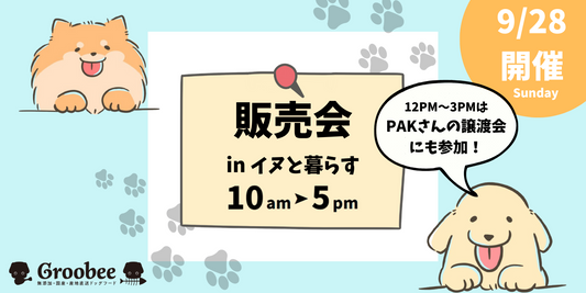 【藤沢】今週末の販売会!ブリも選べる天然魚6pcセットあります♪