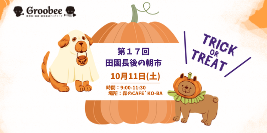 【特別企画あり】今週末は田園長後の朝市に登場!