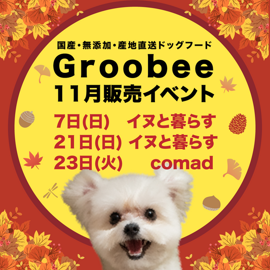 11月の店頭販売イベント!