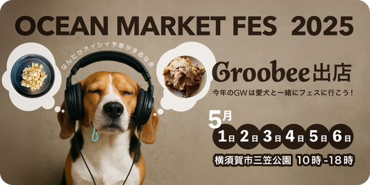 【5月1日〜6日】✨GW開催オーシャンマーケットフェスに出店します!