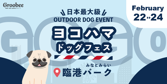 【📣 2月22日〜24日まで開催中!】ヨコハマゴーゴードッグフェスに出店✨