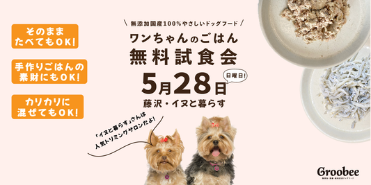 【今週末の試食販売会】人気トリミングサロン「イヌと暮らす」様で開催!