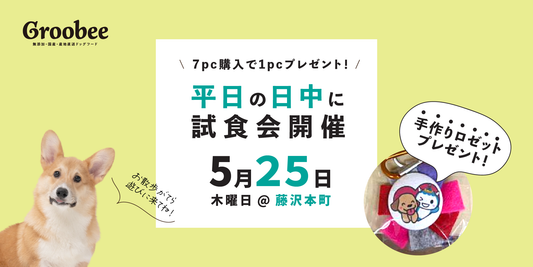 【試食会×藤沢本町】平日に開催決定!