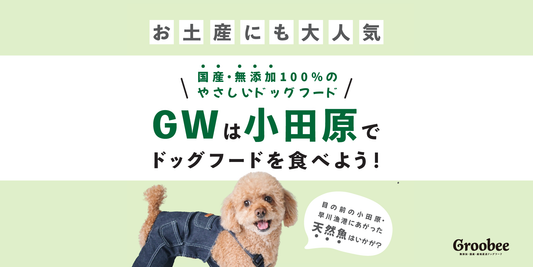 【GW×試食会】グルービー自販機で試食会@小田原