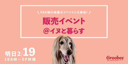 【イベント】明日2月19日販売イベント@イヌと暮らす