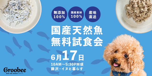 【今週末の試食販売会】藤沢市の「イヌと暮らす」様で開催!