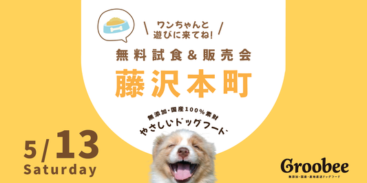 【試食販売会×藤沢本町】豊富な種類で組み合わせOK!
