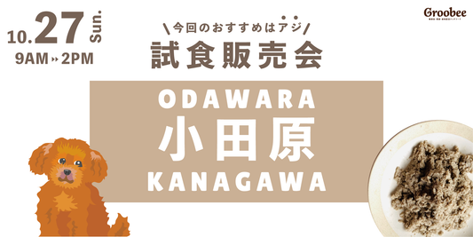 📣 明日開催!🏯小田原で試食販売会🐟