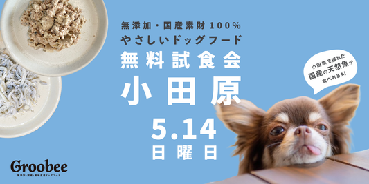 【試食会×小田原】好評につき第2回開催決定!