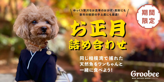 【期間限定】ワンちゃんと一緒に食べれるお正月セット販売開始!