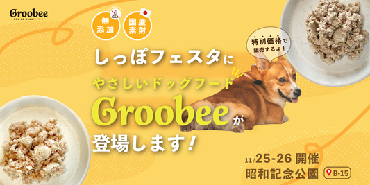 【しっぽフェスタ限定!】特別セットのご案内