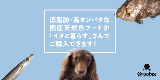 低脂肪・高タンパクな国産天然魚フードが店頭で買えます!