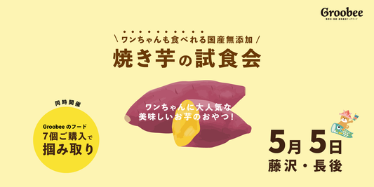 【こどもの日×試食会】Groobee初の食物繊維系フード?!