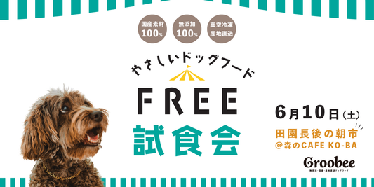 【今週末の試食販売会】「田園長後の朝市」に出店します!