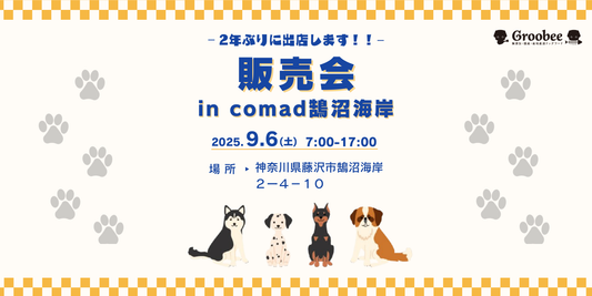 Groobeeが約2年ぶりに鵠沼海岸の「comad」にもどってきます✨