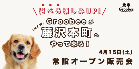 【試食販売会】今週末4月15日のイベント情報