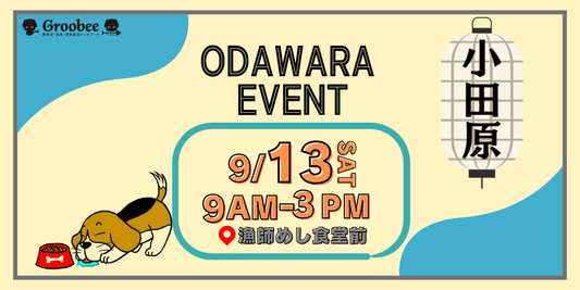 📣 今週末は小田原で試食販売会を開催します✨
