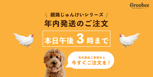 📣親鶏じゅんけいシリーズ|年内発送の最終注文は本日まで!