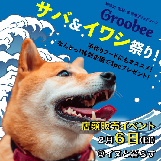 2月6日、サバ、イワシ祭り!!@イヌと暮らす