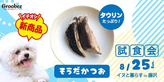 \🐟 今週末はソウダカツオ試食会✨/