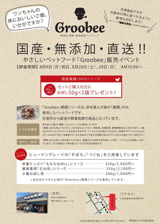 comad@鵠沼海岸でのイベント初日完了しました!