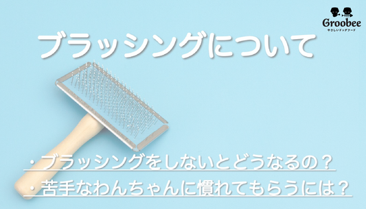 ブラッシングでワンちゃんの健康管理