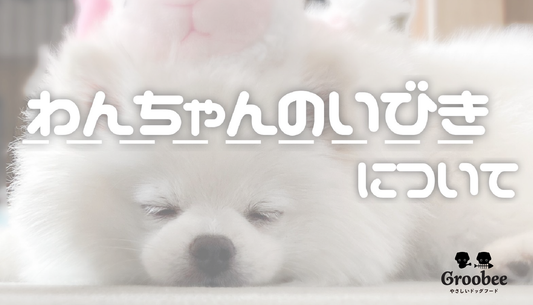 そのワンちゃんの「いびき」、病気が隠れているかも?!