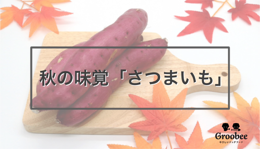 犬も食べれる秋の味覚!〜さつまいも〜(※注意事項あり)