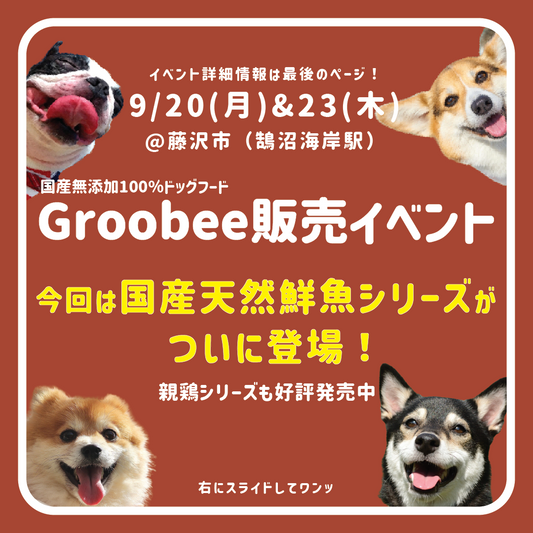 遂に発売!!国産天然鮮魚シリーズ@鵠沼海岸comad(9月20日、23日)