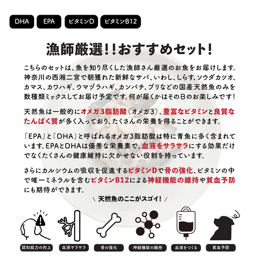 漁師厳選!お勧めセット