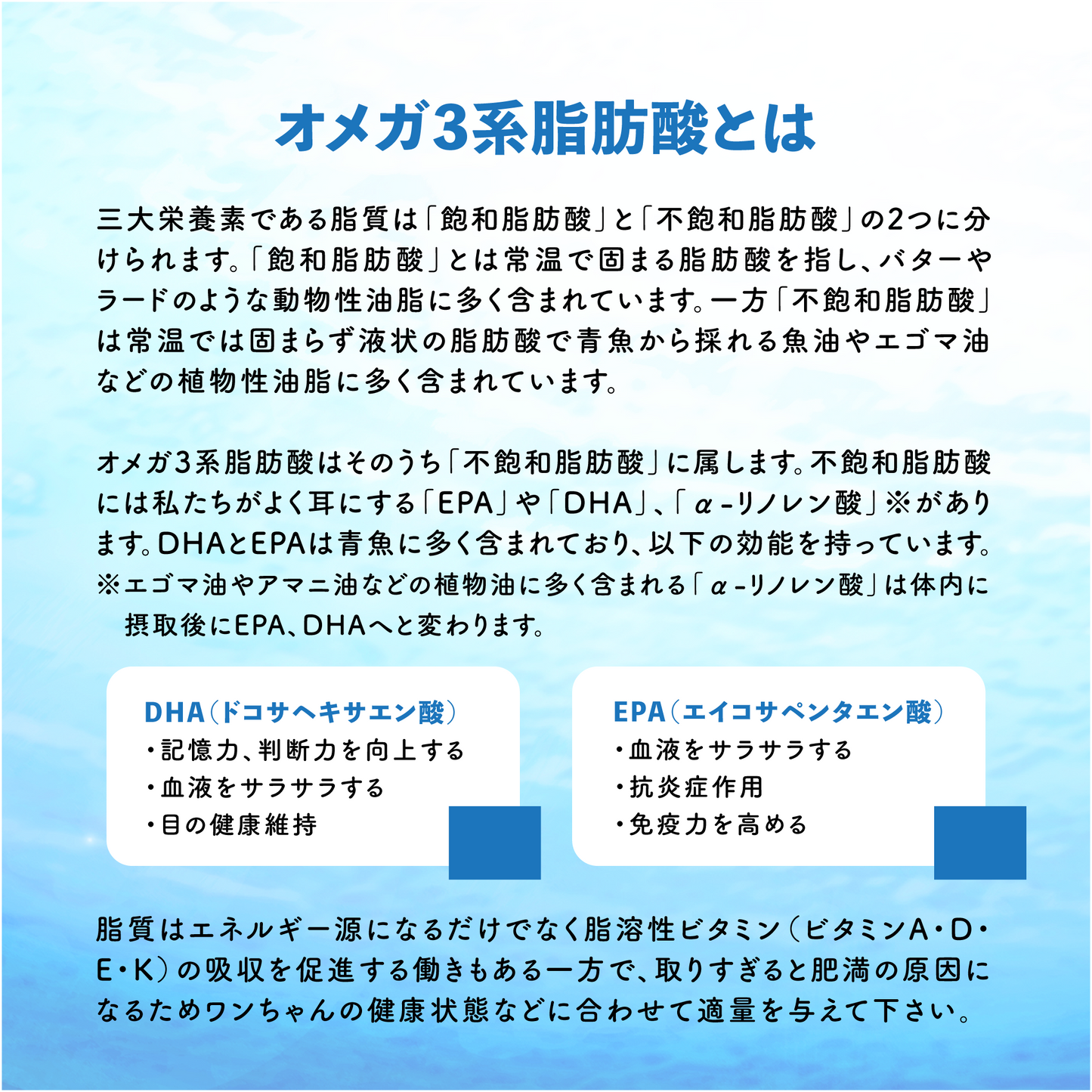漁師厳選!お勧めセット