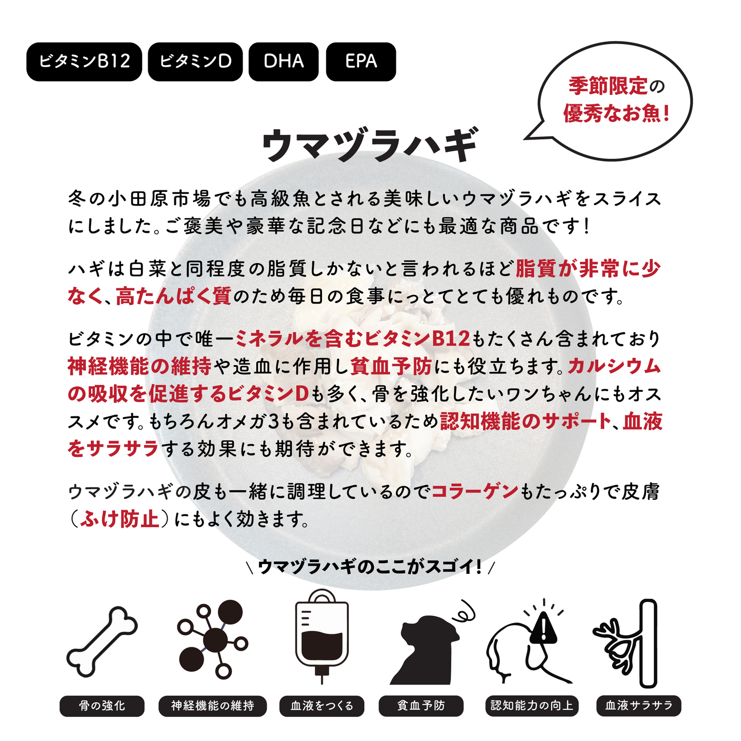 カワハギ・ウマヅラハギ【二宮産・天然魚】