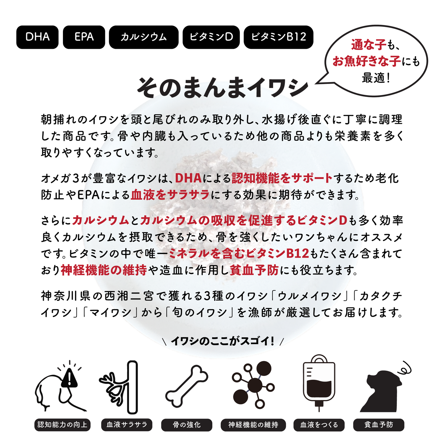そのまんまイワシ【二宮産・天然魚】