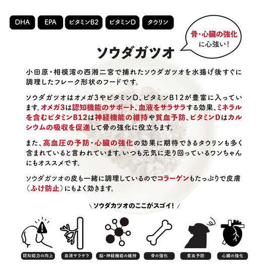 ソウダカツオ【二宮産・天然魚】