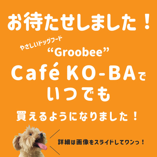 Groobee親鶏シリーズ、cafeKO-BAさんでいつでもご購入可能です！