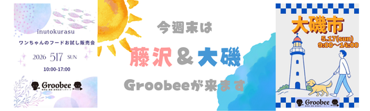 ボラが初登場！今週末のイベント情報（5月17日開催）