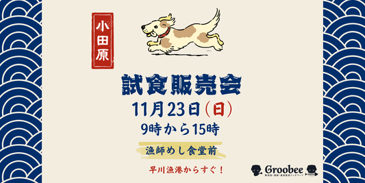 【小田原】今週末11月23日は早川漁港で試食販売会！