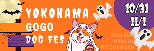 【横浜】YOKOHAMA GOGO DOG FES  in 臨港パーク