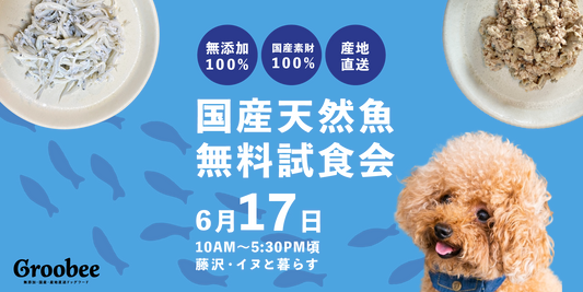 【今週末の試食販売会】藤沢市の「イヌと暮らす」様で開催！