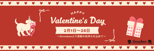 💖【バレンタイン限定企画】うちの子オリジナルバレンタインカードをプレゼント💖