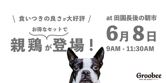 明日は田園長後の朝市！親鶏がお得に🐓