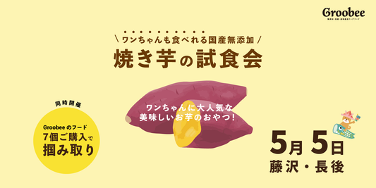 【こどもの日×試食会】Groobee初の食物繊維系フード？！