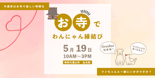 今週末は神奈川・葉山で「お寺でわんにゃん縁結び」