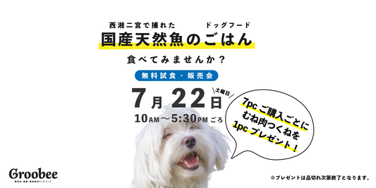 【今週末7/22の試食販売会】藤沢市の「イヌと暮らす」様で開催！